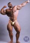 ludoliebig:Rogan Richards - muscle morph my MorphD