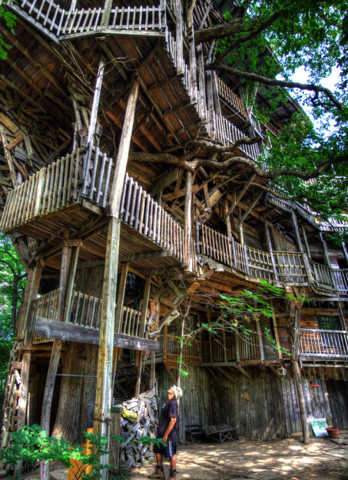 Porn photo cjwho:  The World’s Biggest Tree House