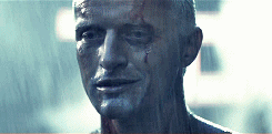 “Tears in Rain” is a soliloquy of the Ridley Scott film Blade Runner, delivered by the replicant Roy Batty, portrayed by Rutger Hauer. The final form, altered from the scripted lines and much improvised by Hauer on the eve of filming, has