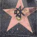 la-vie-en-lys:brunhiddensmusings:injuries-in-dust:black-geek-supremacy:i-stay-armed:mirrormirror2:Beautiful Street Art in Hollywood. Walk of shame. By the way …..FUCK DONALD TRUMP! I wonder the price of replacement of the star.Remember when people