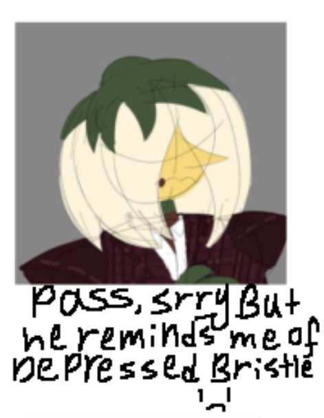 Smash Or Pass But With Opinions, Compliments And Possible Roasts-
