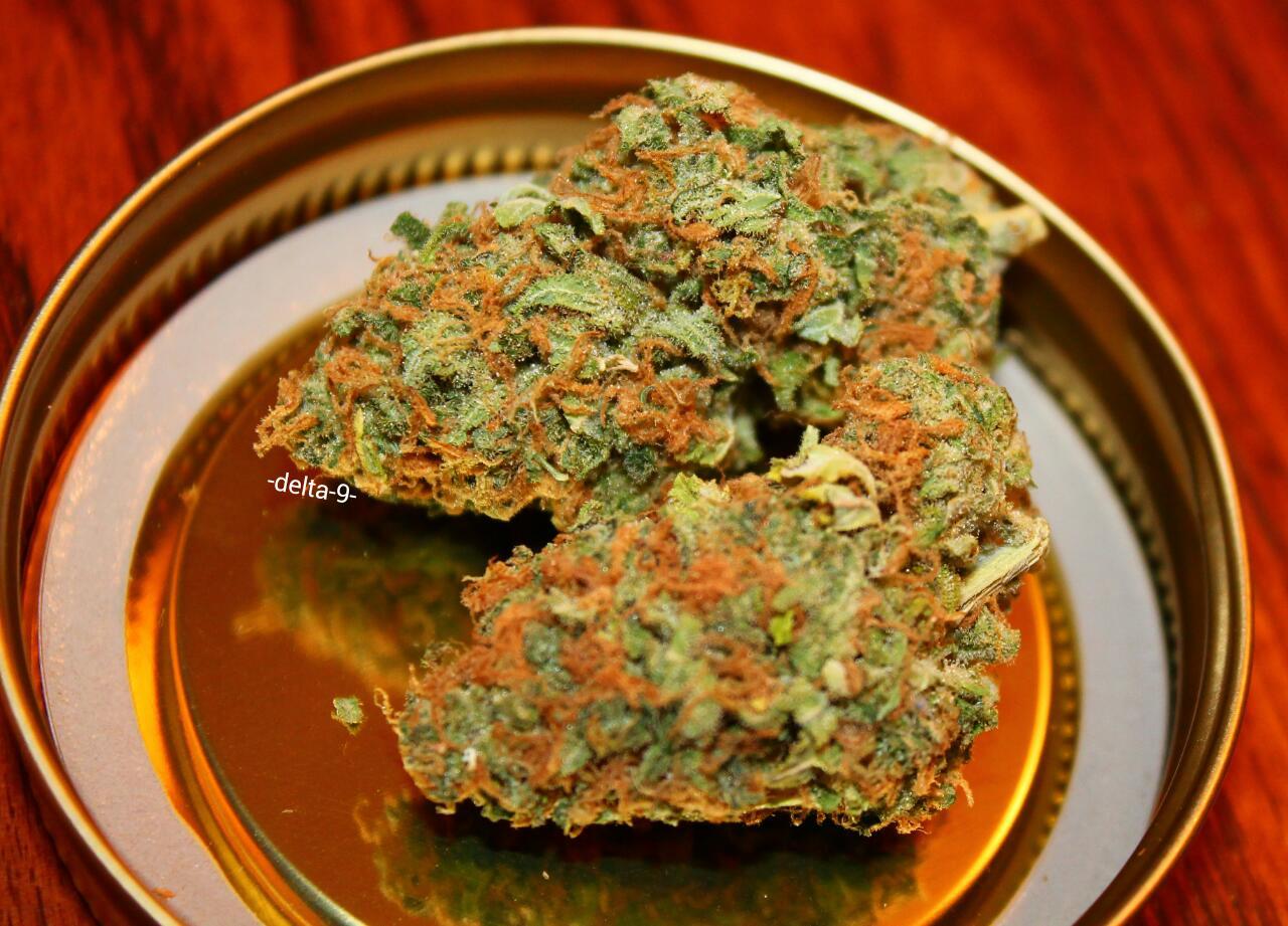 -delta-9-:  Fire As Fuck🔥👌🔥