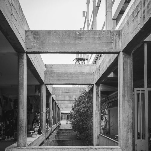 soudasouda:  @SoudaBrooklyn / @the.concrete.project: Immeuble A, Agadir, Morocco by architect Henri Tastemain, 1963. . #concrete #architecture #art #design #sculpture #blackandwhite #cat #moroccoPosted by Souda New from Souda: Wave Business Card Holder,