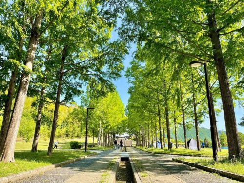 散歩(^_^) 日本へそ公園 兵庫県西脇市 #日本へそ公園 #兵庫県 #西脇市 #公園 (Nishiwaki, Hyogo) https://www.instagram.com/p/CdSexDXP2