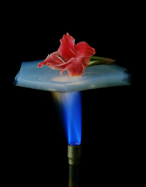 mineralists:I thought we should do a post on Aerogel for the hell of it.. so here it is!Aerogel is