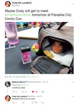birdhism:  So this happened and it was AMAZING. All the nice things they say about Matthew Mercer are true. You could tell just by the way he treated Cody, he’s a genuine, kind-hearted person.  He even shared a post regarding avian rescue! *weeps*