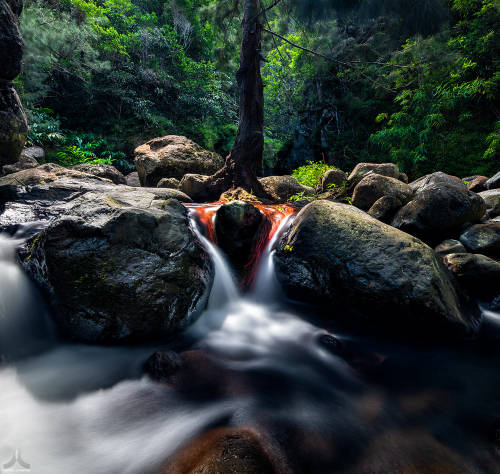 Mystical by Daniel Cheong Camera: Nikon D850