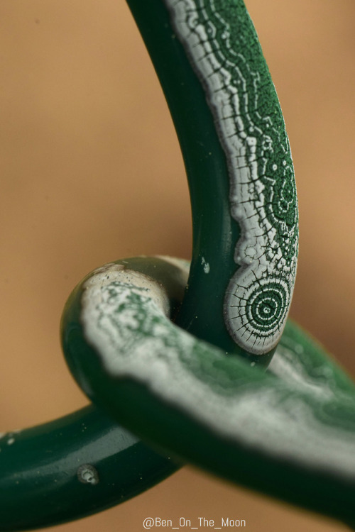 itscolossal:Unique Weathering Pattern Creates Fascinating Geometric Ripples on a Chain Link Fence