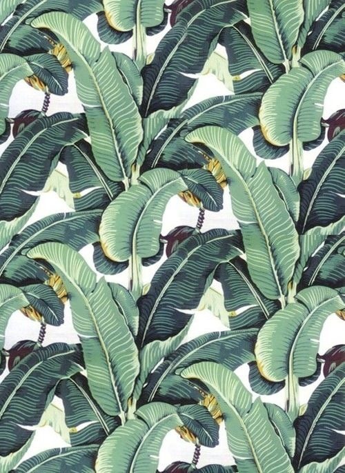 whalepapers: •palms• •have a wonderful day• •credits• •1- @bungal