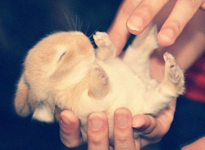 therelatablepost:  feeling sad? you need this blog on your dash!