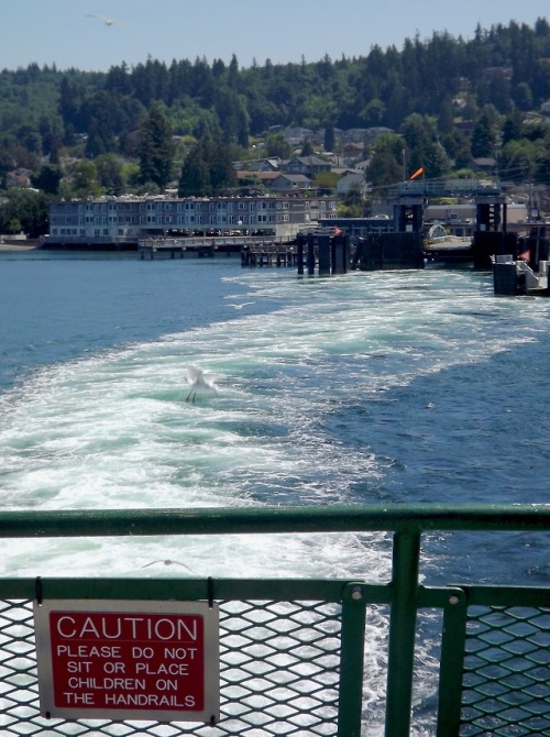 “CAUTION Please do not Sit or Place Children on the Handrails,” Washington State Ferry Departing Muk