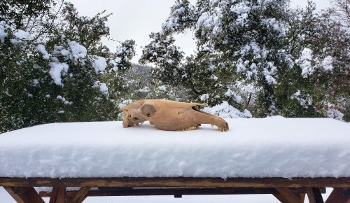 I think we got a little bit of snow overnight.