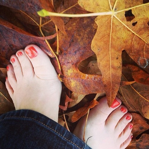 kimberlylohanlegs: © @diddlmous  #foot #feet #footfetish #pés #prettyfeet #beautifulfeet #barefoot #