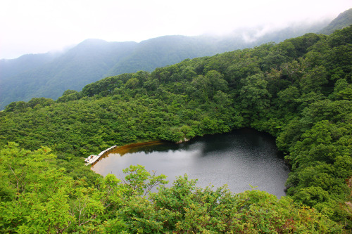 20200802（土）夜叉ヶ池（池の標高1,099m、別名「雨乞いの池」、福井県南越前町岩佐）登山。越前国南条郡池ノ上に住む豪農の弥平次が干ばつのため、池の主の大蛇に「田に水を入れてくれるのなら自分の