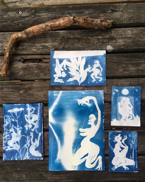 Really enjoyed playing with cyanotype last week. Love the immediacy and the unpredictiblness of the 