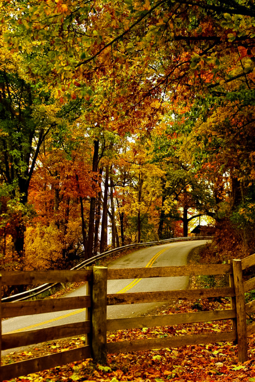 Autumn in Kentucky