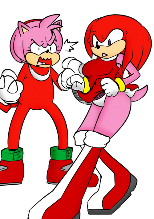 mattmiles1995:  Matt and Nat Sonic Swap: Knuckles and Amy by MattMiles  