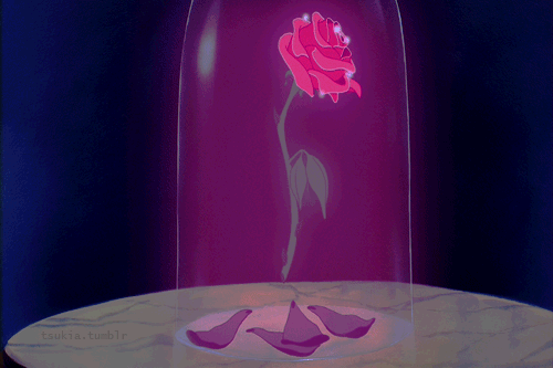 Bella rose tumblr