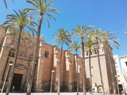 allthingseurope:Almeria Cathedral, Spain 