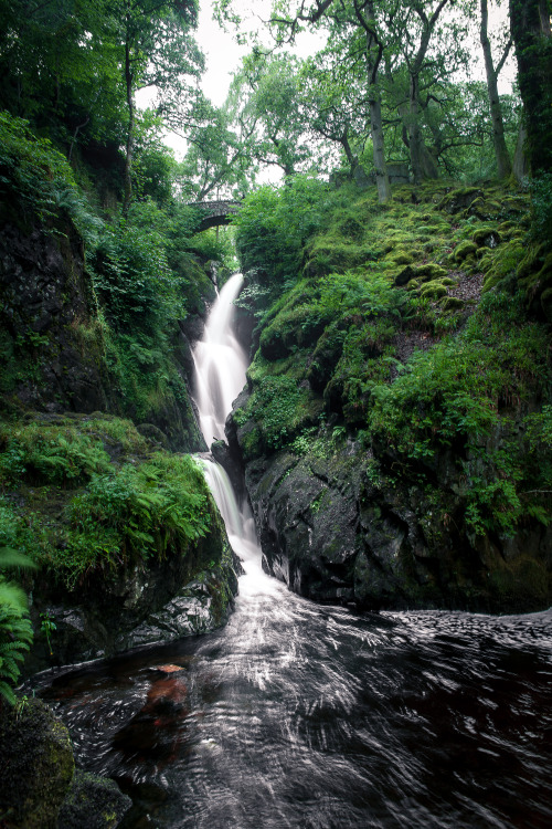 freddie-photography:  Forests and Fog - Oxfordshire & Cumbria9 new presets to download for Lightroom editing at Creativemarket.com. Version 1.4 now offers a total of 64 presets for a large range of photography.By Frederick Ardley Photography