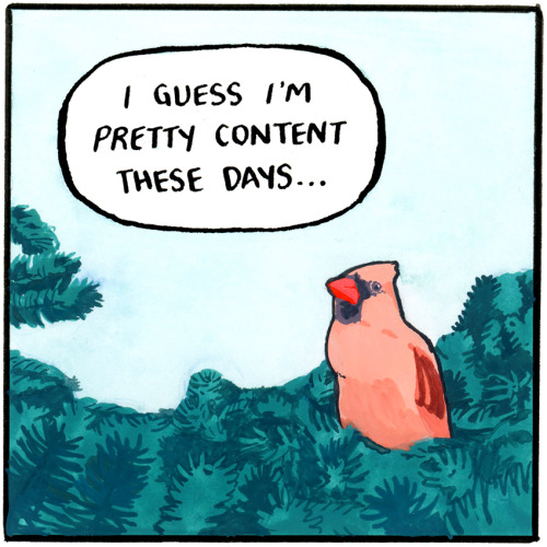 falseknees:  Forgot to post this a couple weeks ago!