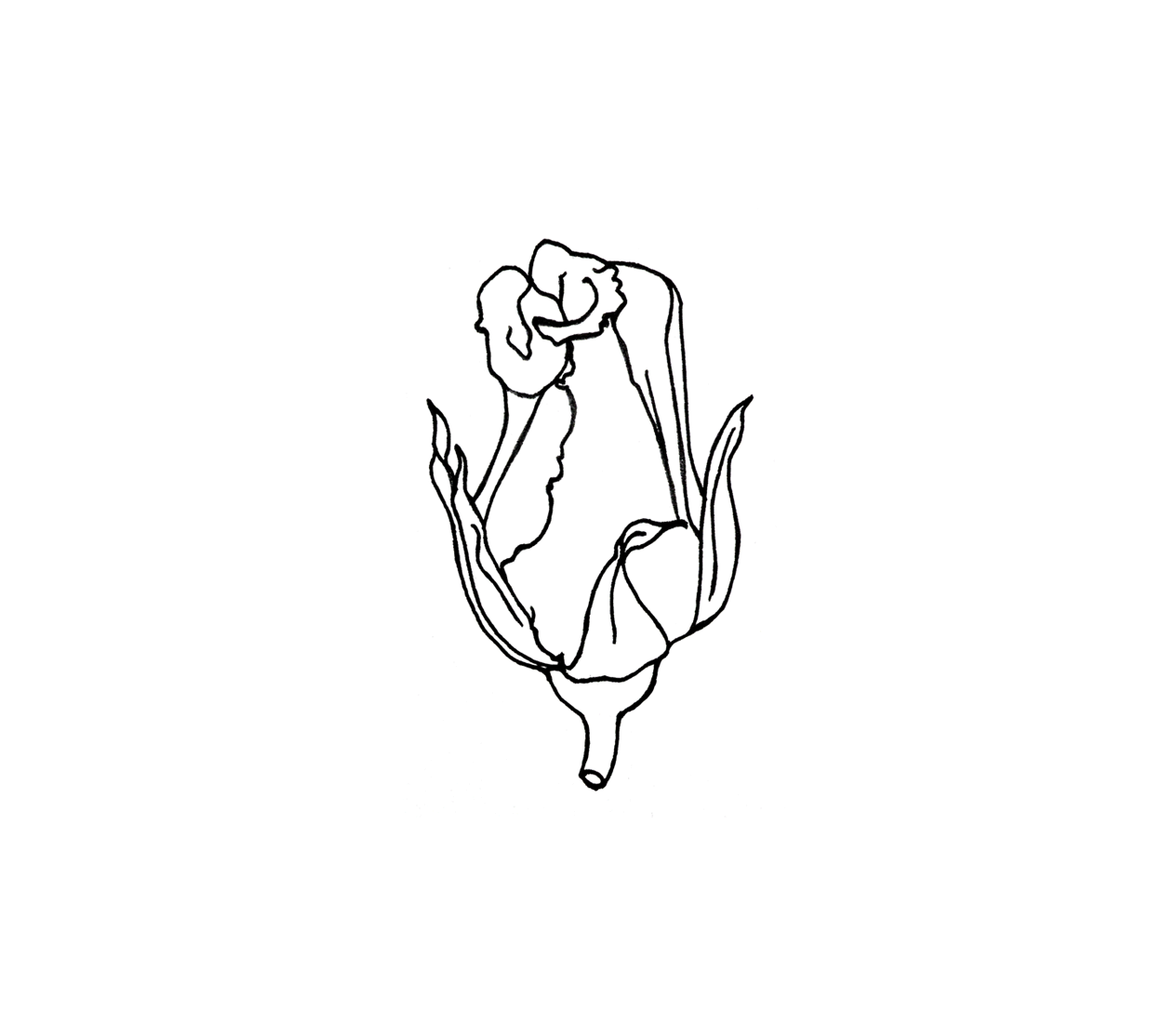 eatsleepdraw:  ‘Blooming’ by Kate Dickinson. Fine liners, 2015. More GIFs and