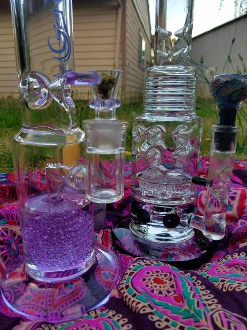 doobiedrewbie: Sesh with @taishatokerr. Her big baby in the back and my purple pretty up front.