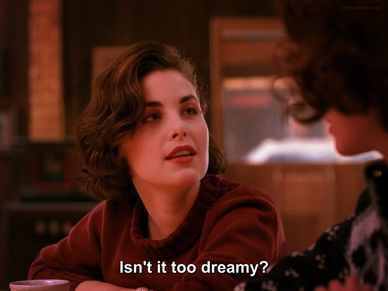 inthedarktrees: Sherilyn Fenn &amp; Lara Flynn Boyle | Twin Peaks https://painted-face.com/