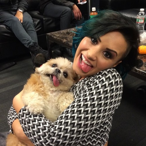 marniethedog:Chillin w/ Demi haha lol