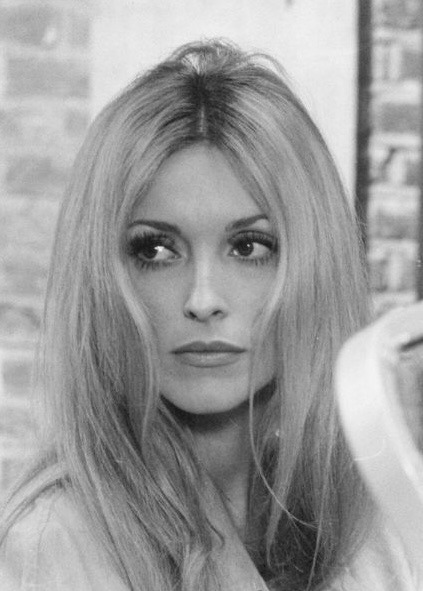 SHARON TATE — SHARON TATE and her closest friends — WENDE WAGNER...