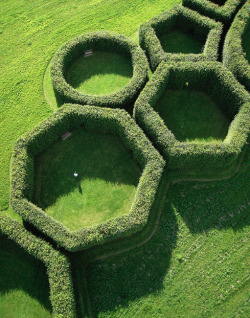 tapist:  Cris Benton - Geometric Garden 
