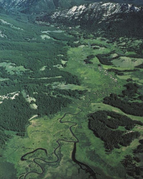 likalinea:Bob Marshall Wilderness, straddling the continental divide, Alpine slopes of spruce, larch and pine, Monture Creek, Montana. Photo by Dewitt Jones. National Geographic, May 1985via @geoarchive_https://www.instagram.com/likalinea/