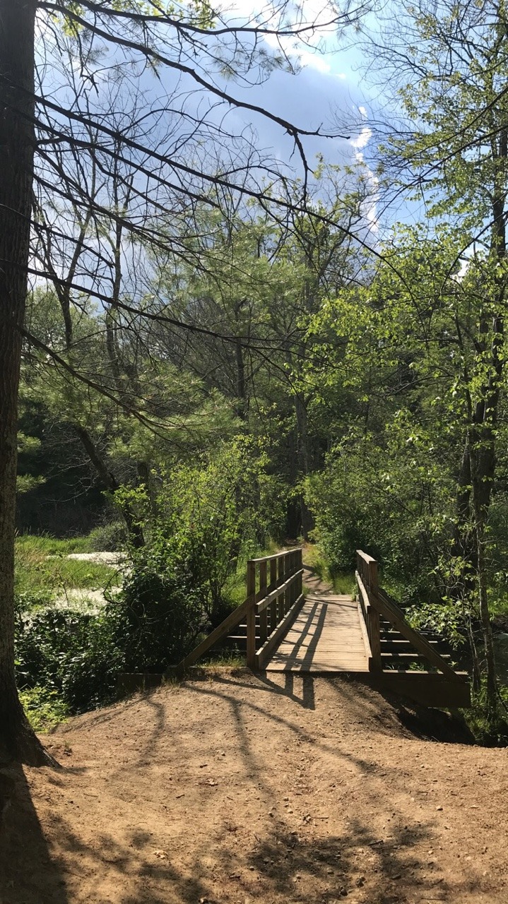 In high school, I used to hike to a place that you could sit on an abandoned railway