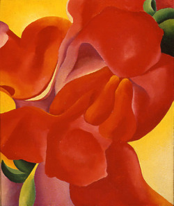  Georgia O’Keeffe  Red Canna 