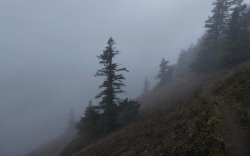 90377:  Eerie Dog Mountain by kepPNW   