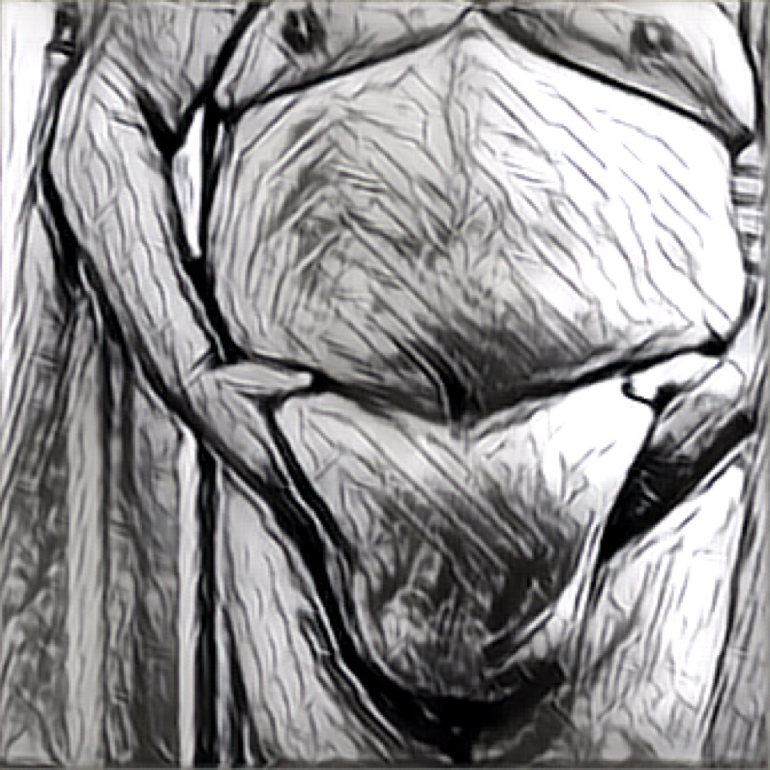 thehistoryofheaviness:  A Compendium of Corpulency