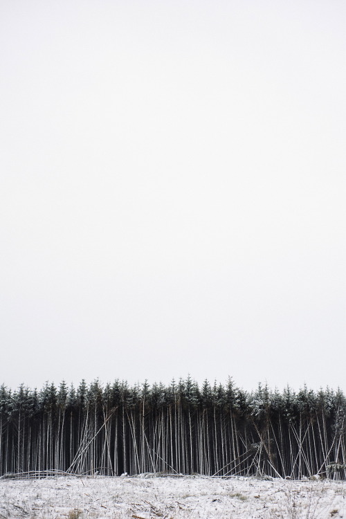 r2–d2:  snowfall by (Suzi Marshall) | Follow on Tumblr 