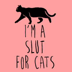 lookhuman:  I’m a Slut For Cats