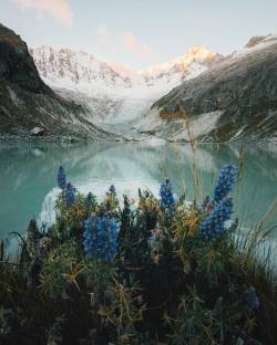 grace–upon–grace:  Alex Strohl