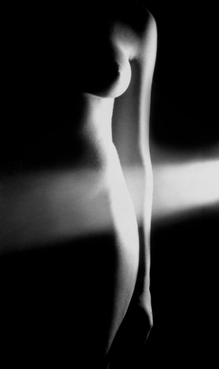 zaehle-mich-zu-den-mandeln:    ©  Andrea Paolinomore: http://www.andreapaolino.com/