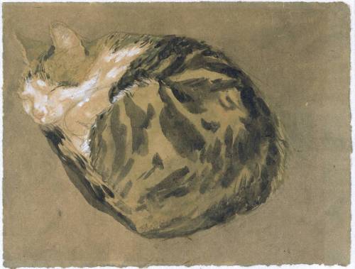 thisandcat:Gwen John, Cat, 1904-08“Gwen John adored her cats, and depicted them frequently. This one