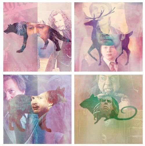 tattalattalala:  Now and forever Marauders &lt;3 