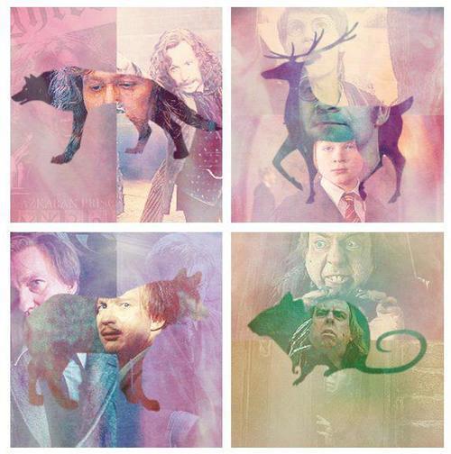 tattalattalala:  Now and forever Marauders <3 