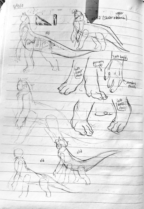 Tentatively Uploading All Of This Spec Evo Stuff I Did Today And Yesterday. I Wanted Them To Be Less