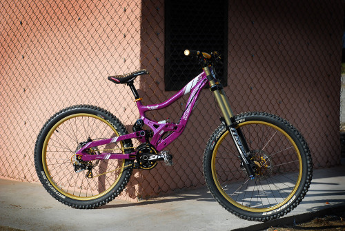 chirosangaku: Rocky Mountain Flatline Special Edition - Wild Cat’s Bike Check - Vital MTB