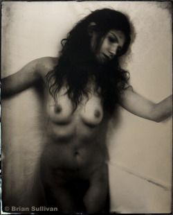 b7lab:  16x20" Tintype - Trish 2014