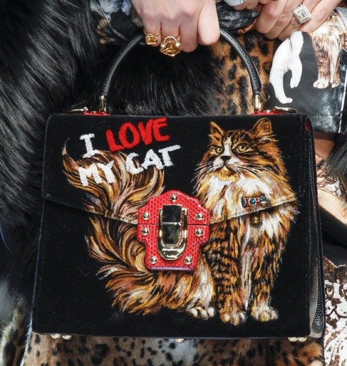 Dolce & Gabbana Fall-Winter 2017
