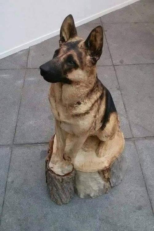 sorrow-smiles: sixpenceee: Dog carved into a tree stump @sixpenceee I THOUGHT IT WAS REAL TILL I SAW