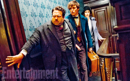 First Look : Fantastic Beasts and Where to Find Them
