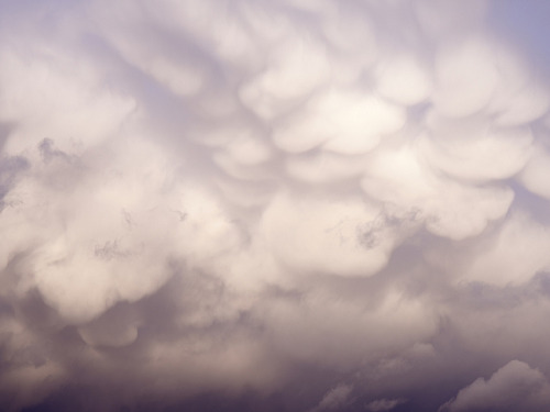 vurtual:  Puffy patterns of mammatus cloudsOut of all the cloud types, only one kind derives from th
